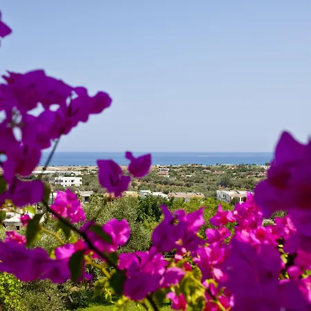 Hotel Iris 3*