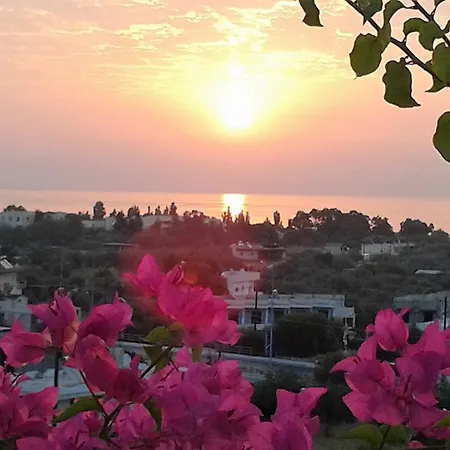 Iris Hotel 3*