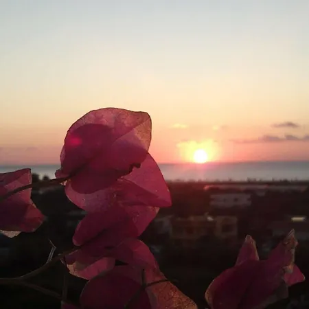 Iris Afantou